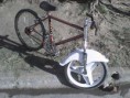 /album/las-bicicletas-tuning-de-la-argentina/a10012783-1-jpg/